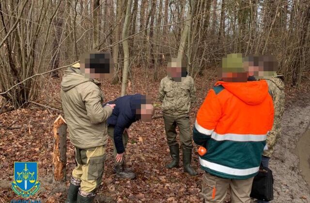 На Львівщині посадовці лісництва «кришували» незаконну вирубку лісу