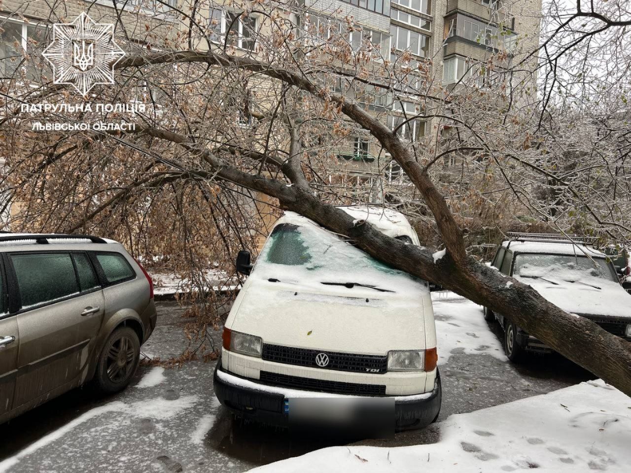 Через негоду і падіння дерев у Львові перекриті вулиці та потрощені авто