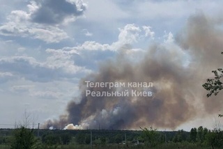 З’явилися деталі масштабної пожежі поблизу Києва