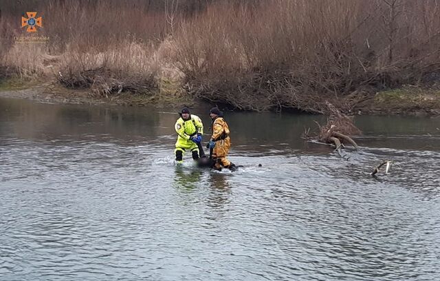 На Івано-Франківщині в річці потонула жінка: що відомо