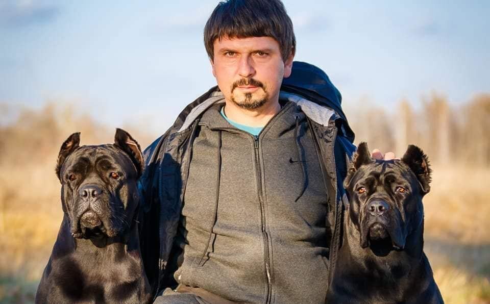 Біля Києва на жінку з дитиною накинулися сім велетенських собак із розплідника