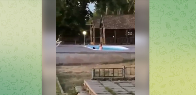 Скандал у Миколаєві: поліцейські зайнялися коханням у басейні (відео)