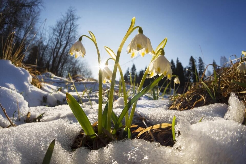 Синоптики оновили прогноз погоди на другий день березня та розповіли, до чого готуватися українцям