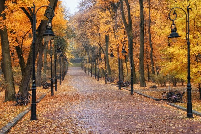 Осінь у Львові