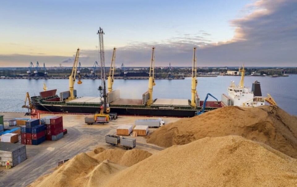 Окупанти атакували порт «Чорноморськ» та знищили тонни зерна