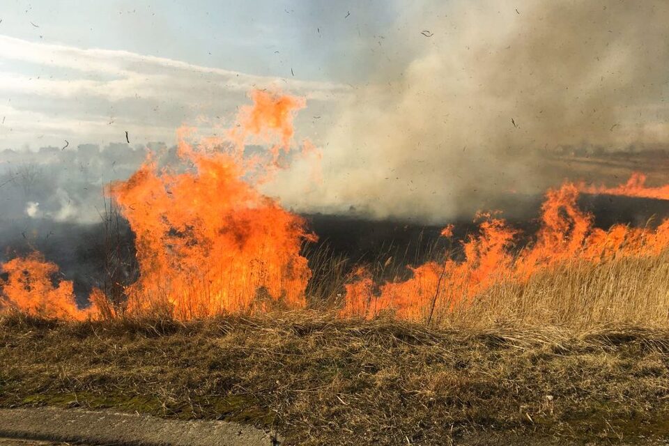 У Запорізькій області росіяни випалюють поля з пшеницею фосфорними бомбами