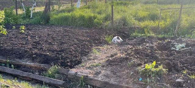 На Львівщині чоловік вбив знайомого та закопав його тіло на городі