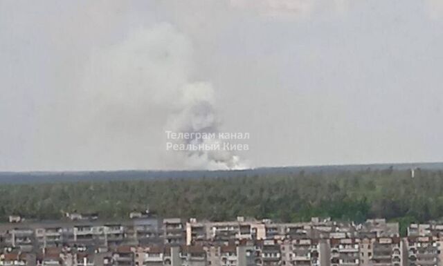 Біля Києва спалахнула масштабна пожежа