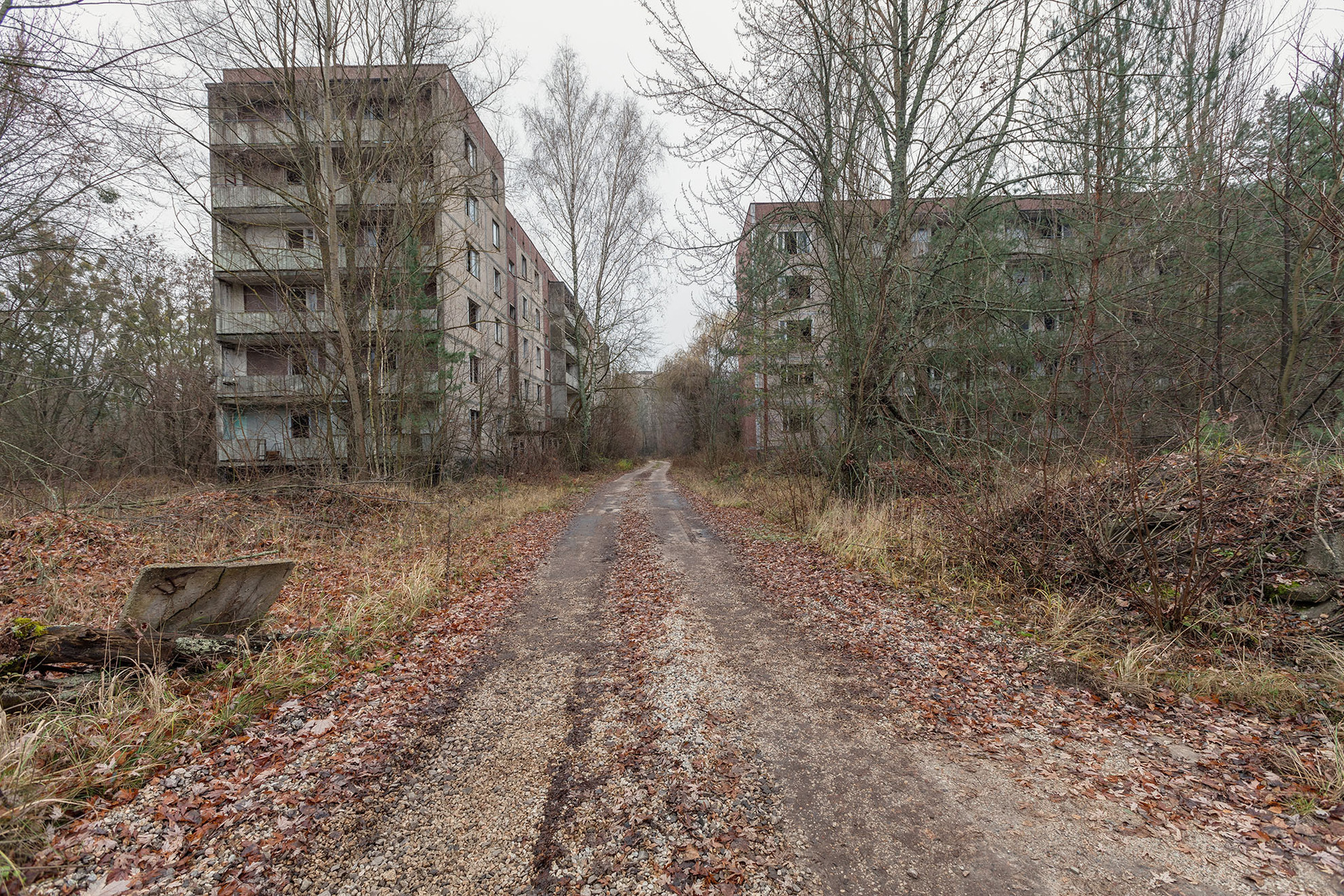 Рашисти нехтують правилами безпеки в Чорнобильській зоні та повільно себе вбивають, – Енергоатом 