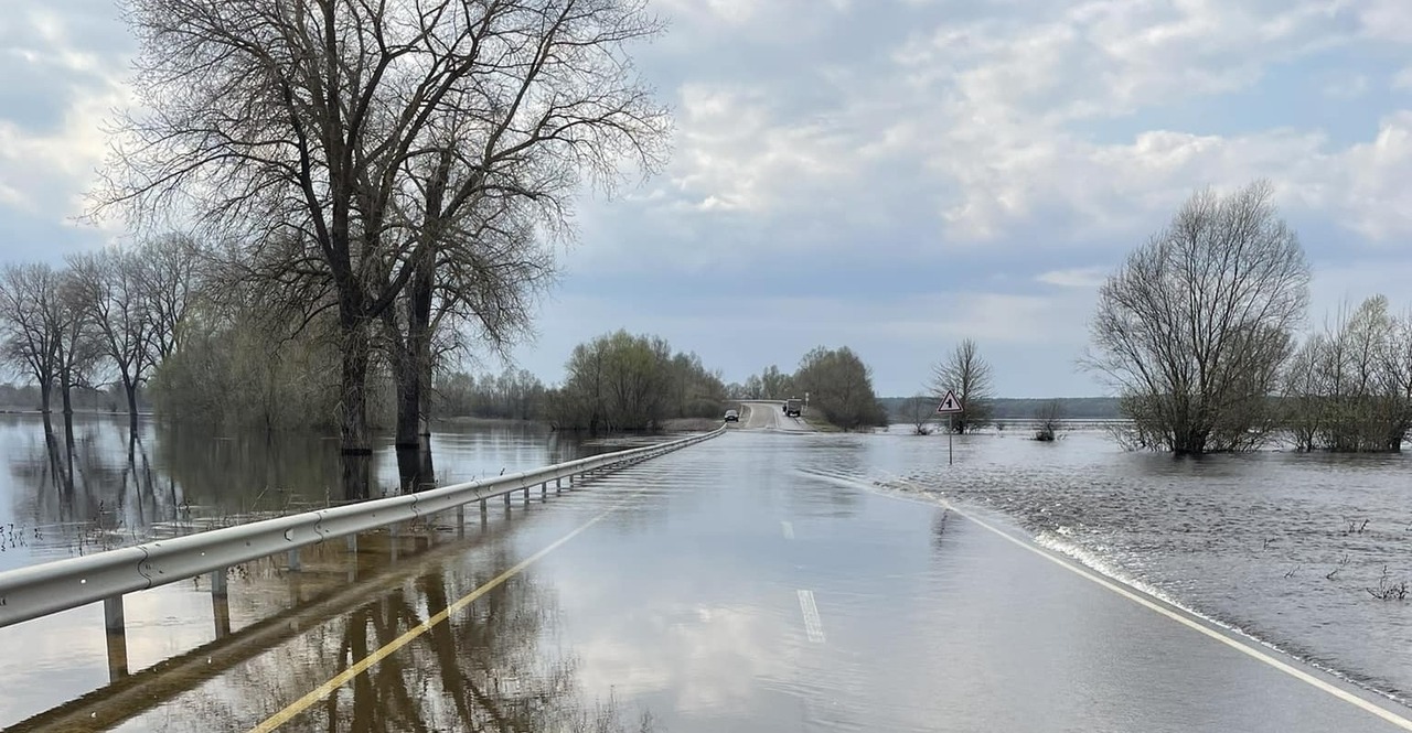 Стихійне лихо на Чернігівщині: для транспорту перекрили популярну трасу